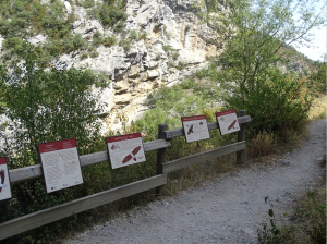 Mirador de la Foz de Burgui